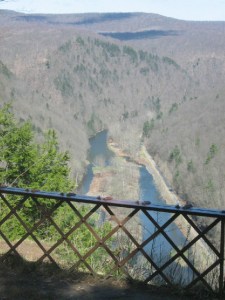 827fee8df5c2f051f6730c10bb9841f6