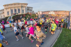 10658896_777399192303253_890563229110001412_o