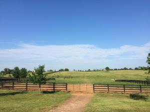 11008452_1042749102402725_7737552028059001290_n