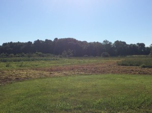 !cid_14f13e4a3488f0303211