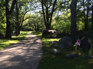 !cid_14f13e4b27d578f2b233