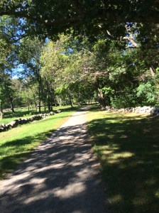 !cid_14f13e4c8e9e8a77b276