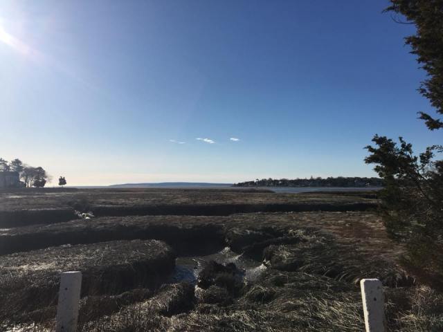 29570878_2139892956021662_8971918960492988089_n