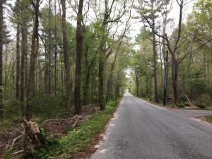 32266823_2196024097075214_3295930239066046464_n