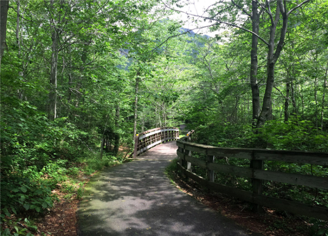 35020546374_5ba46728c1_b