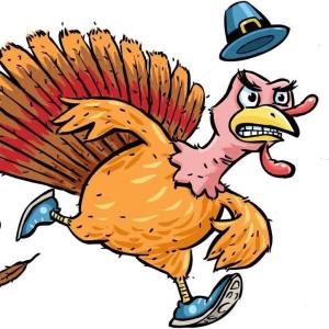 46731122_2556171661060454_2179873319229063168_n