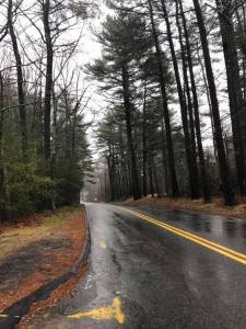 57070880_2859714557372828_2622795171703554048_n