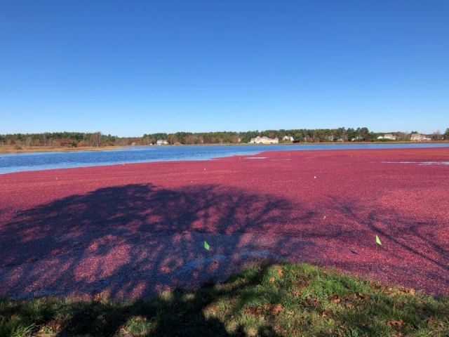 74300756_3418041034873508_6460458814159192064_n